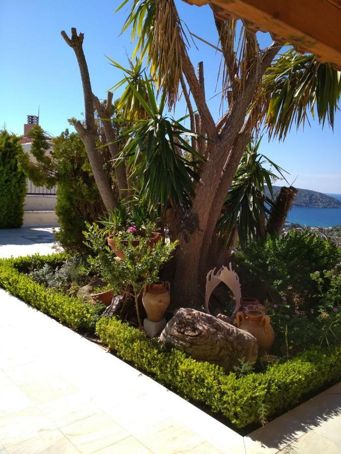 منزل الضيف أنافيسوس  في Saronic View المظهر الخارجي الصورة